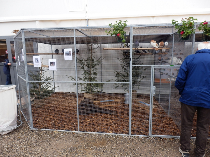 zx_sajam_bern (16).jpg