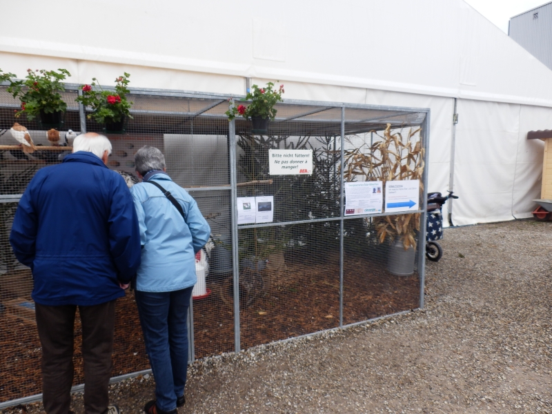 zx_sajam_bern (17).jpg