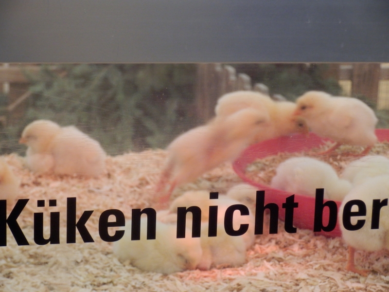 zx_sajam_bern (21).jpg