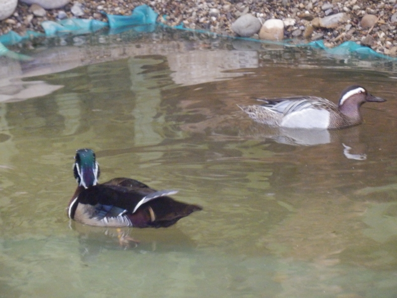 zx_sajam_bern (29).jpg