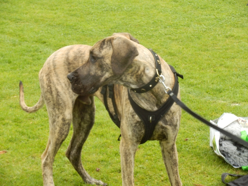 zx_sajam_bern (43).jpg