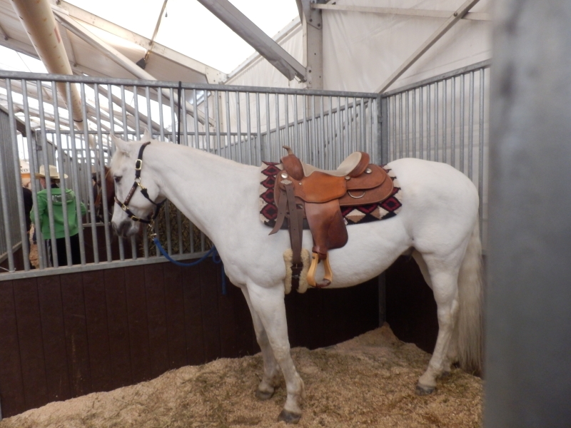 zx_sajam_bern (47).jpg