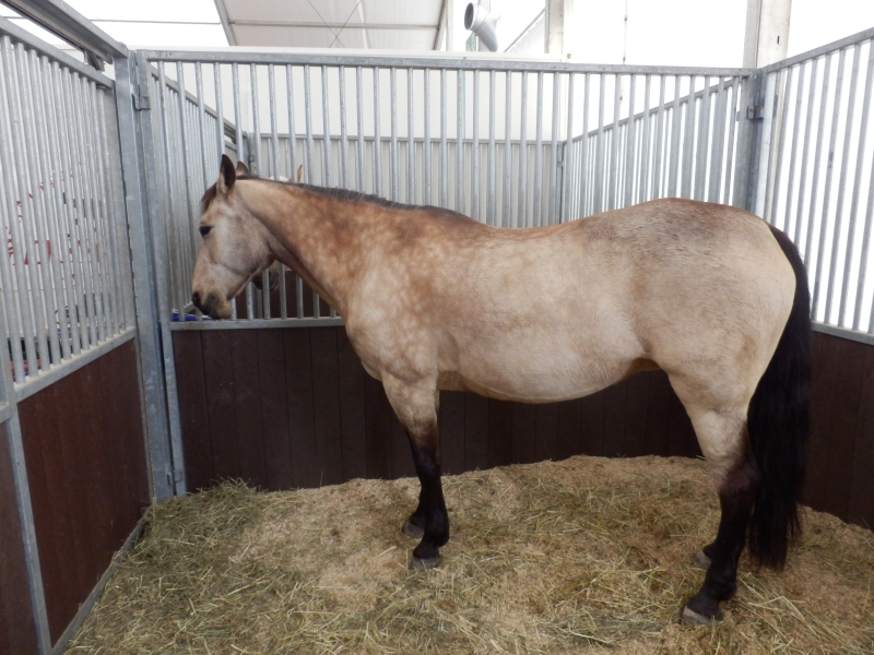 zx_sajam_bern (56).jpg