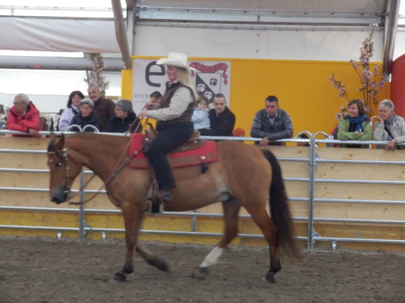 zx_sajam_bern (57).jpg